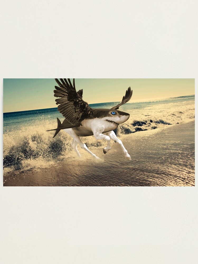 "A Shark with Horse Legs and Wings." Photographic Print for Sale by ...