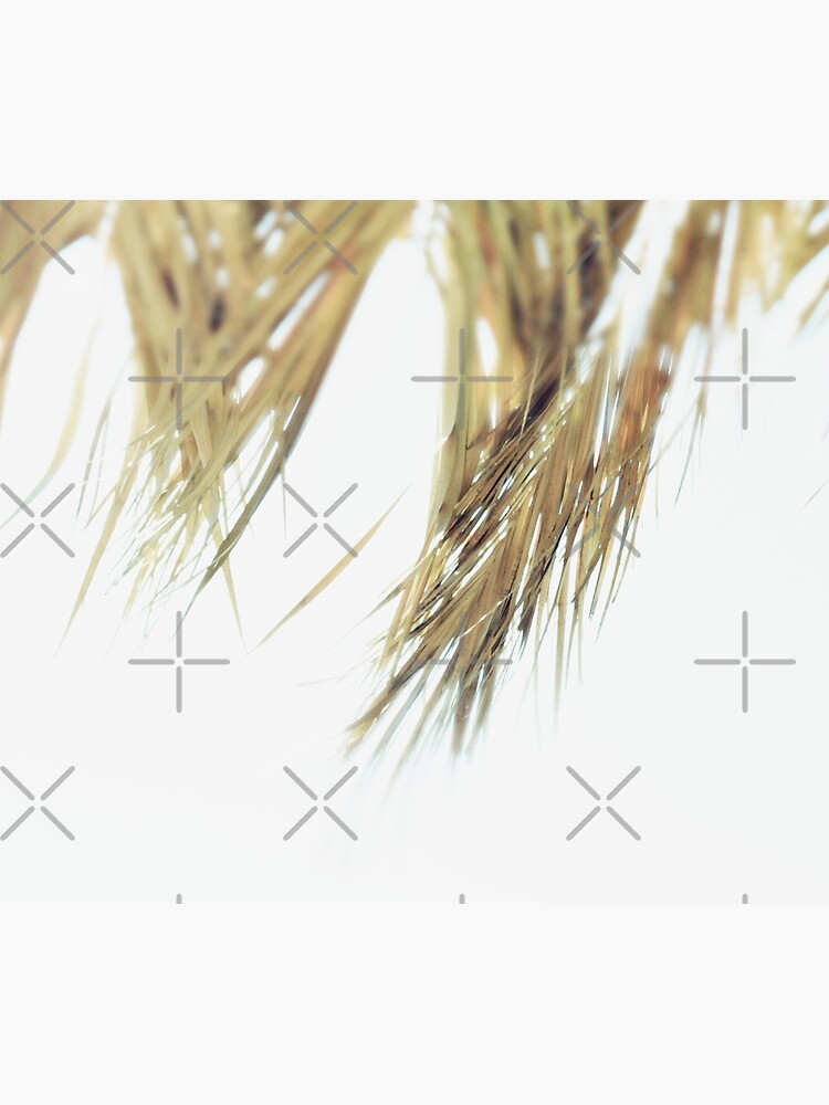 Beach details Palm leaves shade by by-jwp