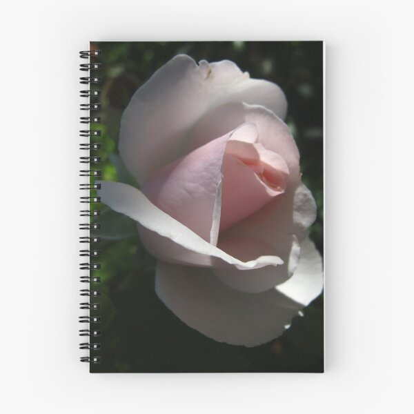 Item preview, Solo act designed and sold by MarianBendeth.