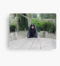 Mother Canvas Print