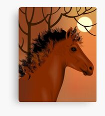 Horse and nature Canvas Print