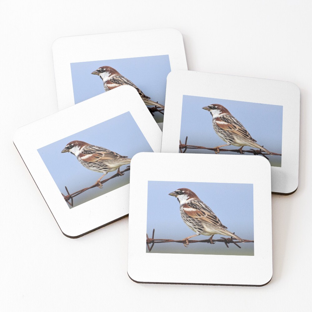 Item preview, Coasters (Set of 4) designed and sold by Rickyvt31.