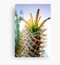 Risky Business (photo) Canvas Print