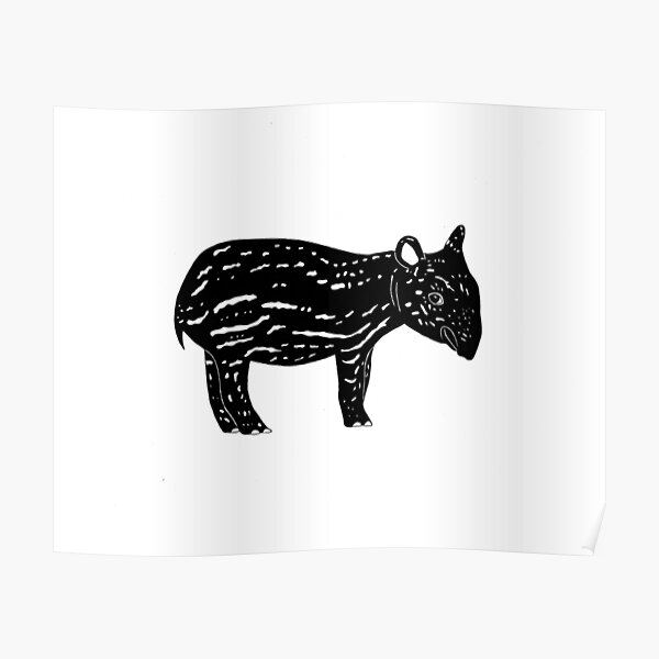 Tapir (ink illustrations of weird animals that are real) Poster