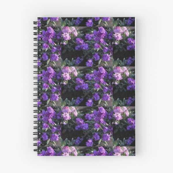 Item preview, Scented Stocks at Sunrise designed and sold by SunriseRose.