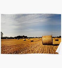 Hay Bales in Donegal Poster