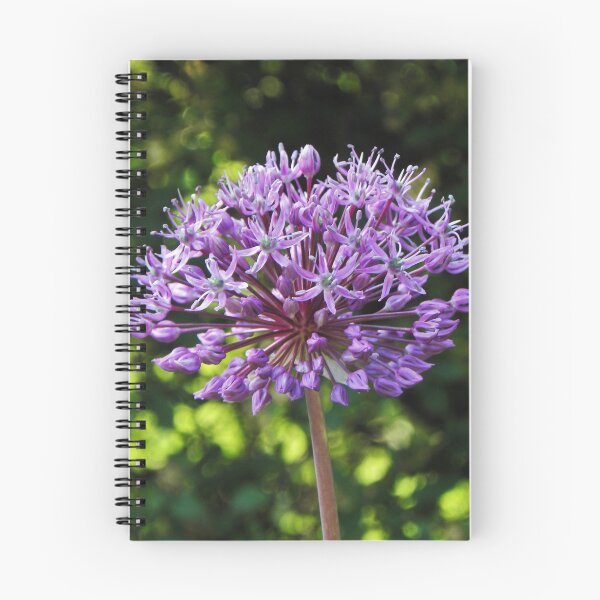 Item preview, Allium designed and sold by Ratsrule67.