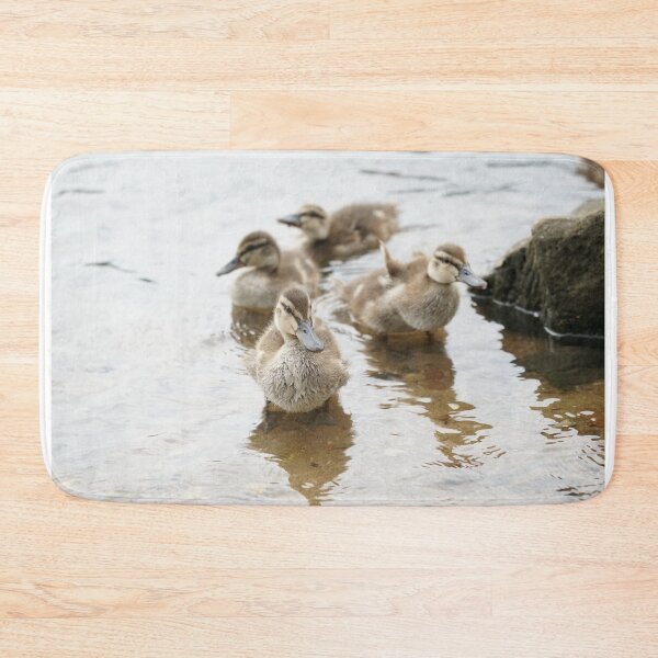 Item preview, Ducklings designed and sold by BlackoutPhotos.