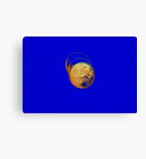 Full Moon Exposures Canvas Print