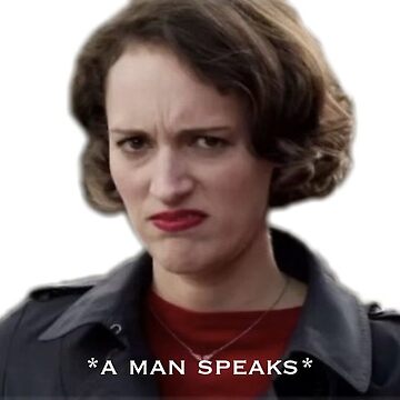 Imagen de la obra Pegatina Fleabag de loveroftv