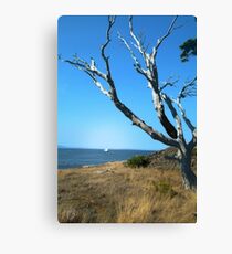Desolate Tree Canvas Print