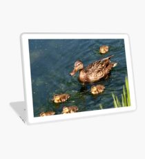 Mallard Family Laptop Skin