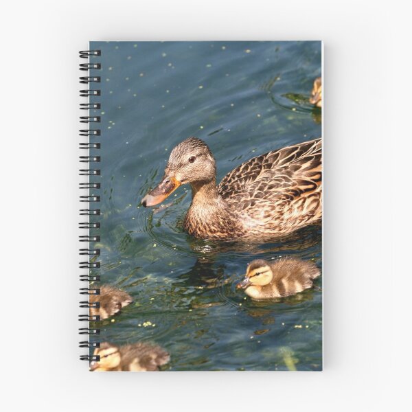Item preview, Mallard Family designed and sold by Larry Trupp.