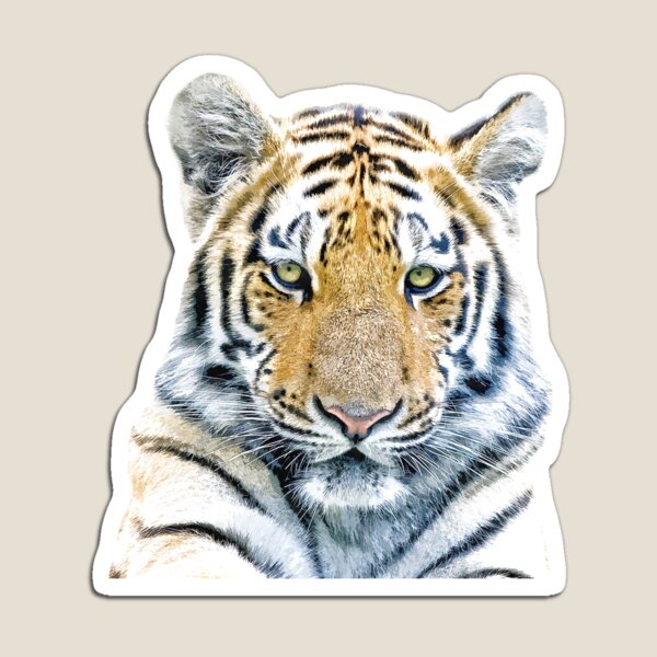 Item preview, Tiger Portrait designed and sold by Alemi.