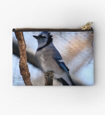 Blue Jay(Cyganocitta Cristata) Studio Pouch