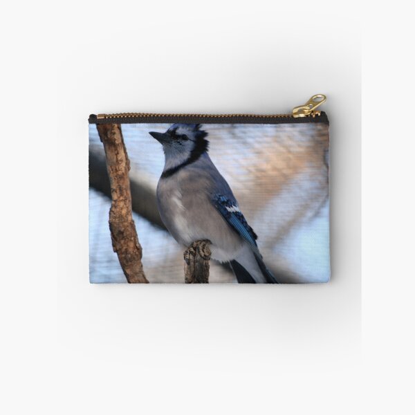 Item preview, Blue Jay(Cyganocitta Cristata) designed and sold by Larry Trupp.