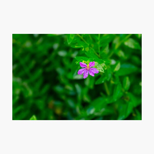 Item preview, Tiny Flower designed and sold by lm31.
