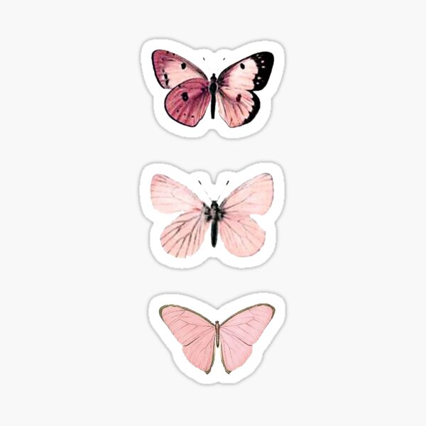 Baddie Aesthetic Pictures Butterfly