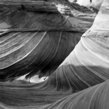 Artwork thumbnail, The Wave by The Studio Red