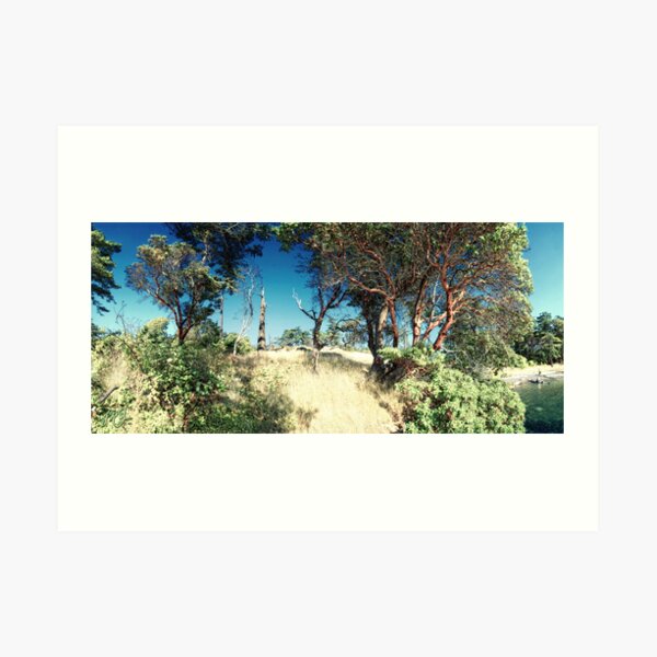 Pirate Cove #2 Art Print