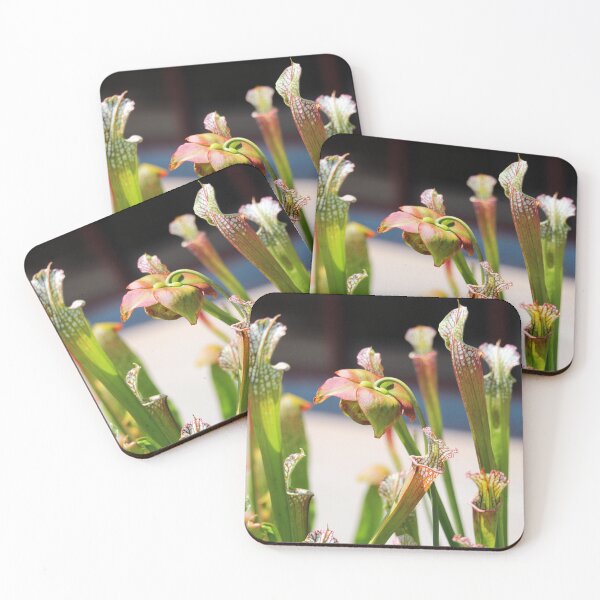 Item preview, Pitcher Plants designed and sold by Cynthia48.