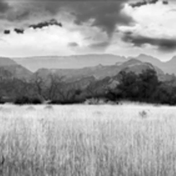 Artwork thumbnail, Zion by The Studio Red