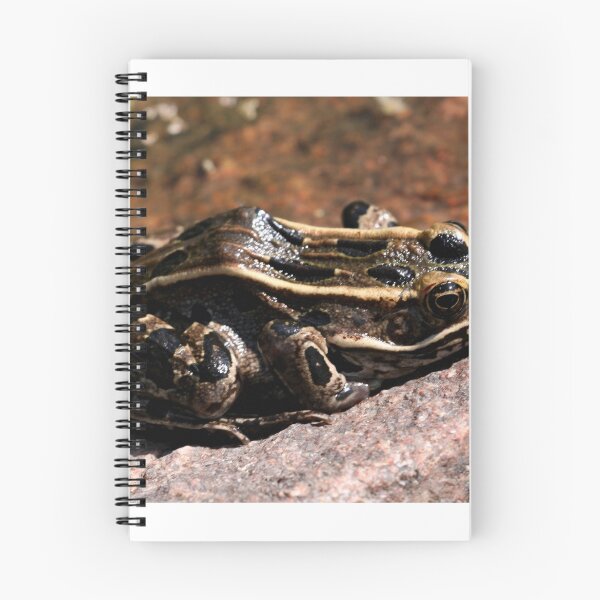 Item preview, Northern Leopard Frog designed and sold by Larry Trupp.