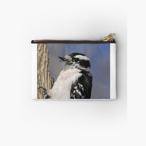 Aperçu de l'œuvre Female Downie Woodpecker créée et vendue par Larry Trupp.