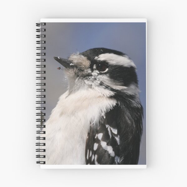 Item preview, Female Downie Woodpecker designed and sold by Larry Trupp.