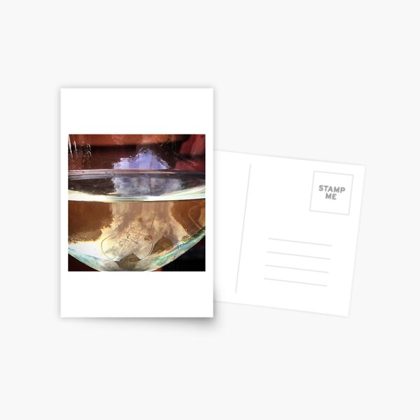 Sky in a Wine Glass Postcard