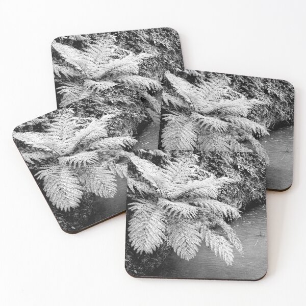 Item preview, Ferns designed and sold by Gaspar Avila.