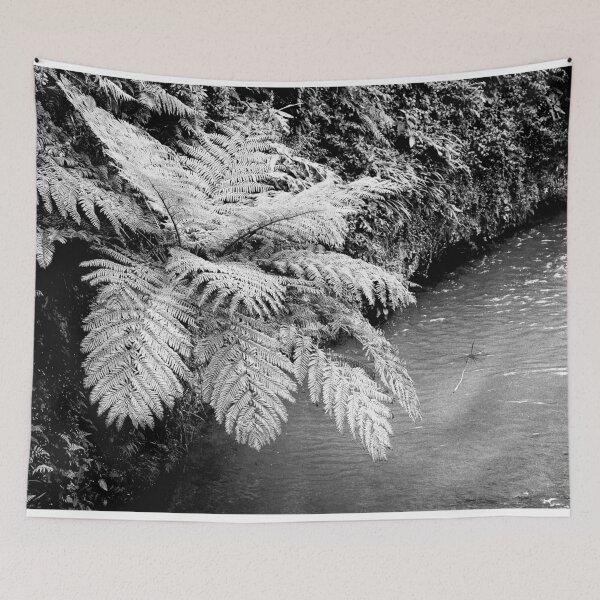 Item preview, Ferns designed and sold by Gaspar Avila.