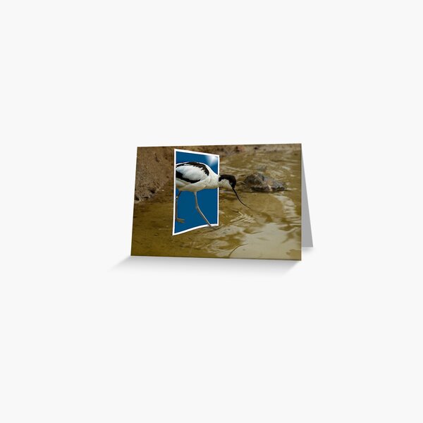 Out of the blue Greeting Card
