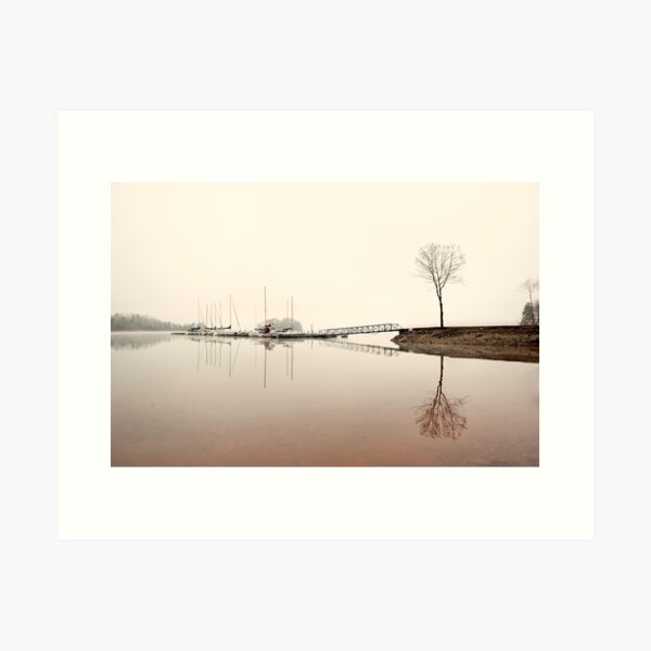 Reflections Art Print
