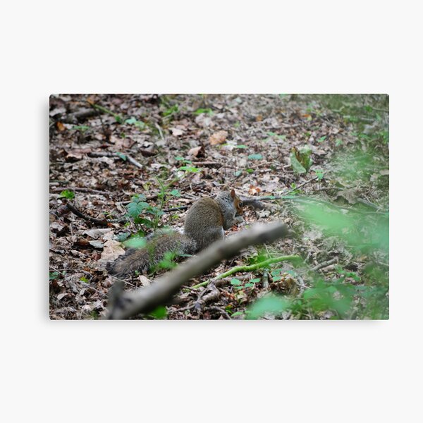 Get off my nuts Metal Print
