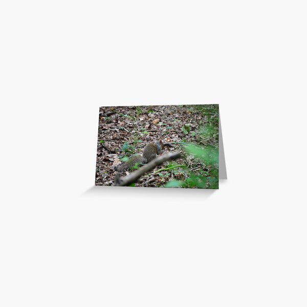 Get off my nuts Greeting Card