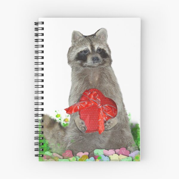 Item preview, Valentine Raccoon Bandit designed and sold by Gravityx9.