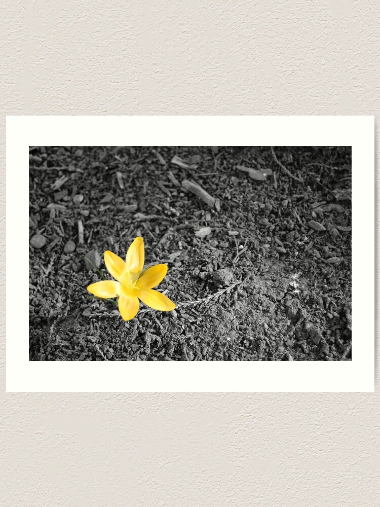 Alternate view of Crocus Art Print