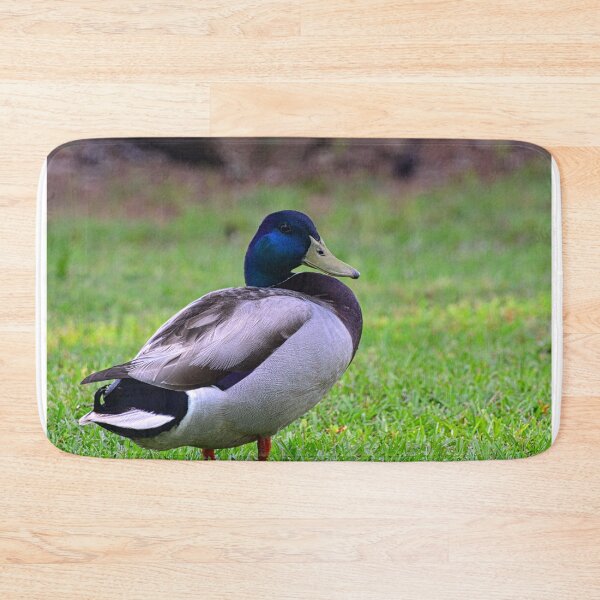 Item preview, Mr. Mallard designed and sold by LisaWootenPhoto.