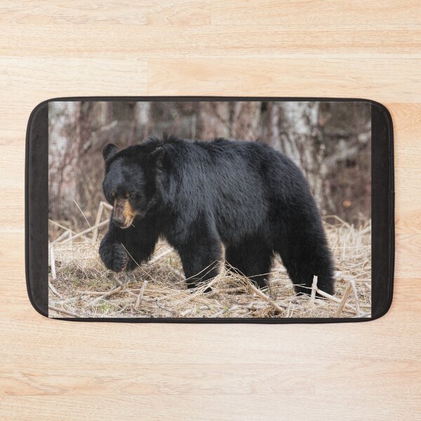 Item preview, Black Bear - Roaming designed and sold by akaurora.