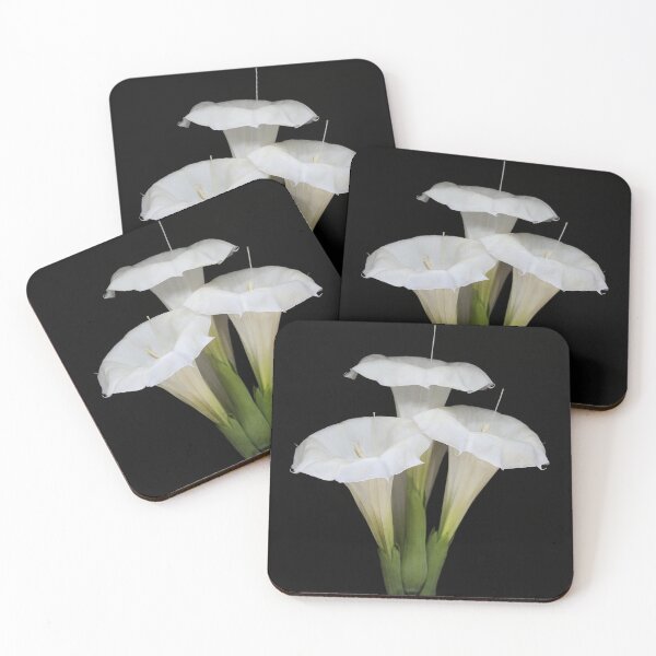 Item preview, Datura flower designed and sold by ana dawani.
