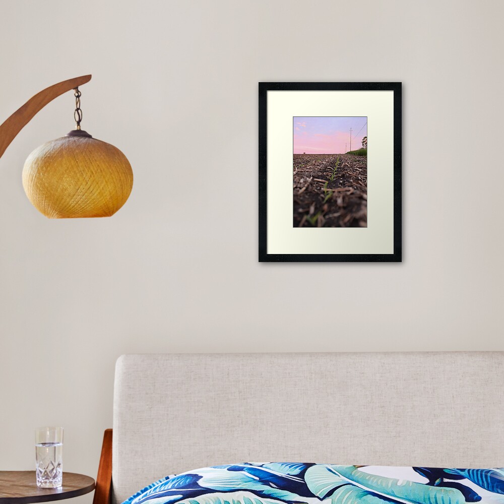 The Corn has Sprouted Framed Art Print
