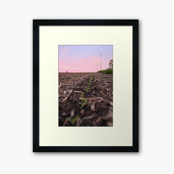 The Corn has Sprouted Framed Art Print