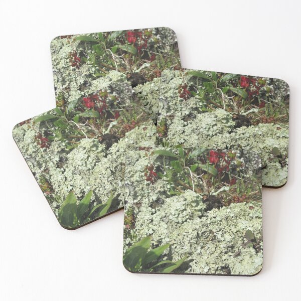 Item preview, Lichen Covered Wall designed and sold by lezvee.