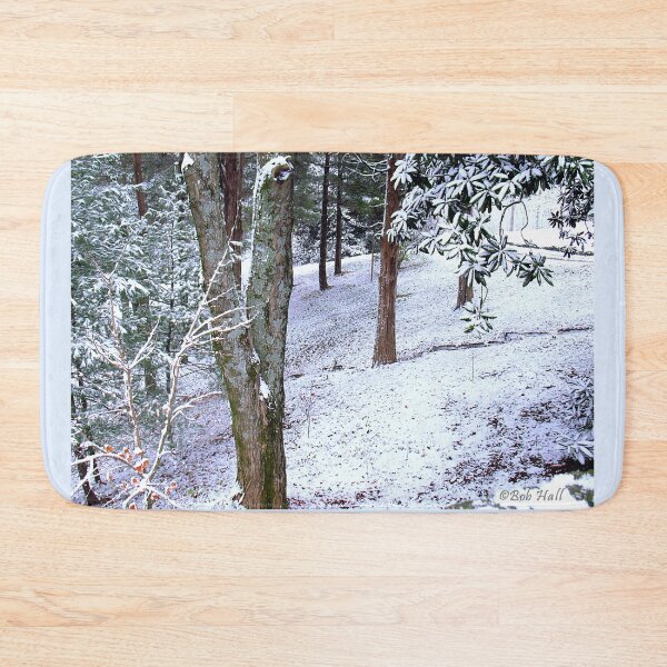 Item preview, "Winter Woods," Photo, for prints and products designed and sold by Bob Hall©.