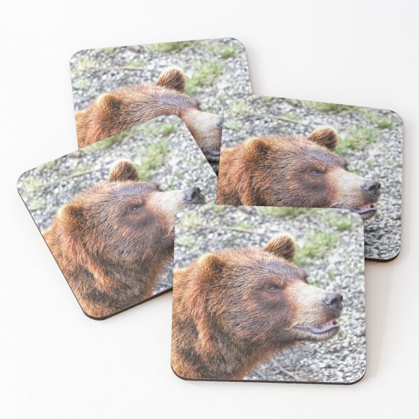 Item preview, I Bear To Differ! designed and sold by Alex Preiss.