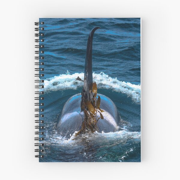 Item preview, Orca CA51C designed and sold by Selena Rivera.