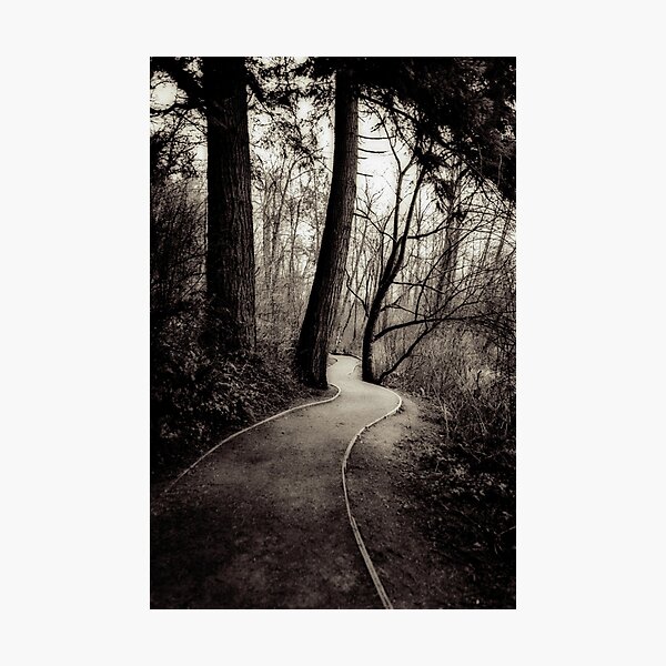 Item preview, the path home designed and sold by Jean Poulton.