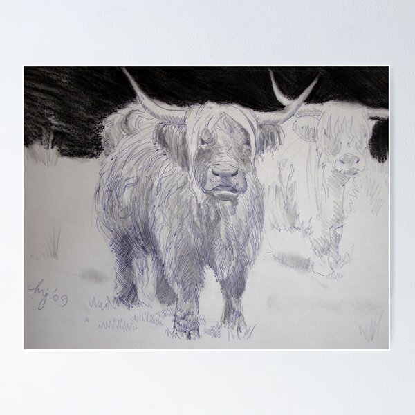Item preview, Highland Cattle Drawing designed and sold by MikeJory.
