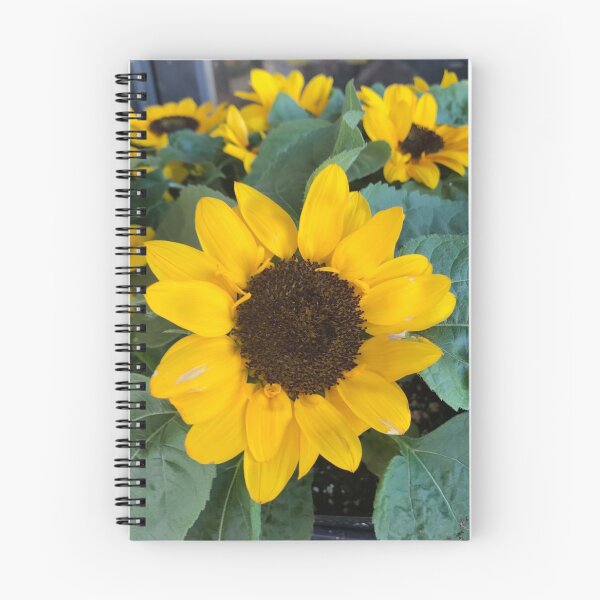 Item preview, A Carnival of Sun Flowers  designed and sold by ItsCarnival.
